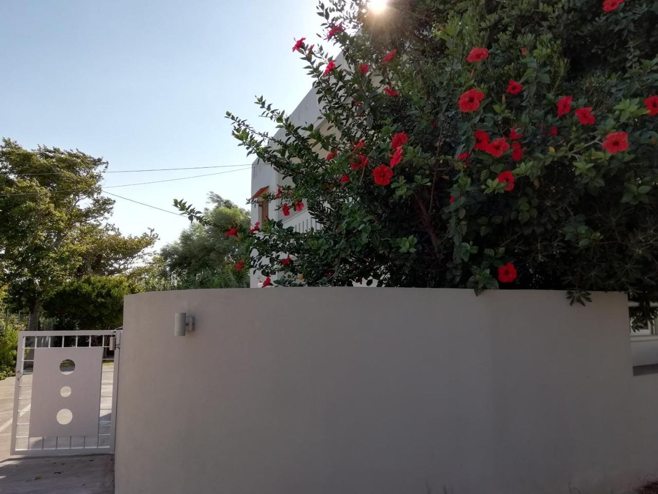 Dimitris' & Valentina'S Home Плакиас Экстерьер фото